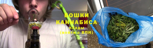 хмурый Абаза
