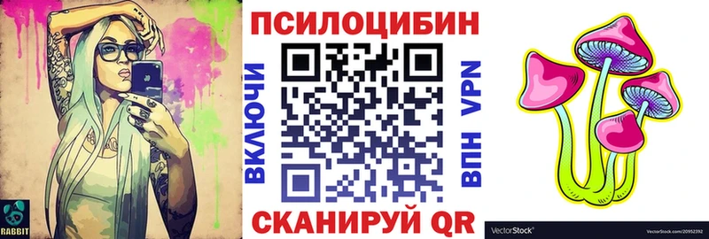 Псилоцибиновые грибы Cubensis  Избербаш 