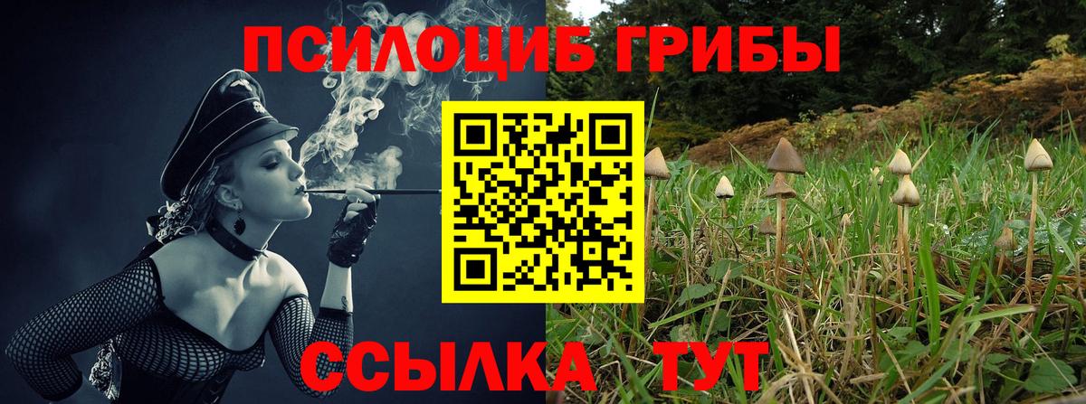 где продают наркотики  Галлюциногенные грибы Psilocybe  Вход с VPN  Избербаш 